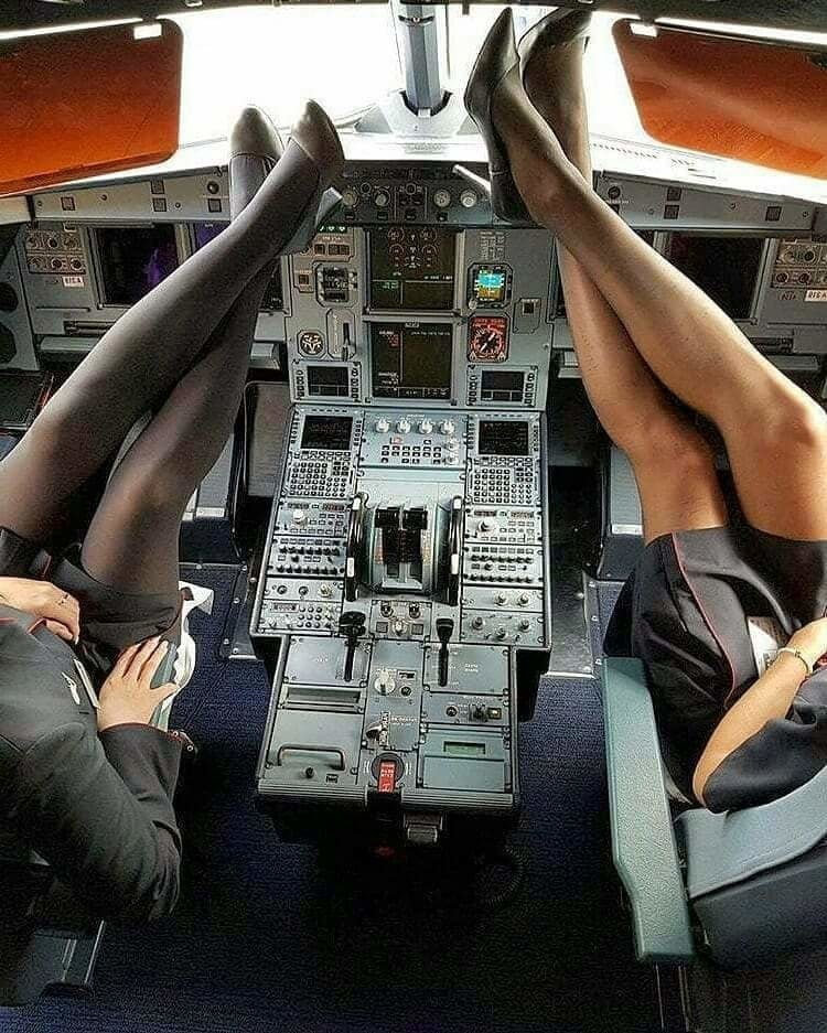Две стюардессы трахнулись с симпатичным пилотом