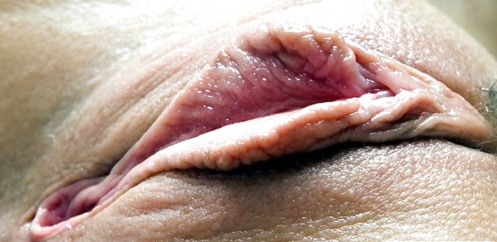 Жирные половые губы фото