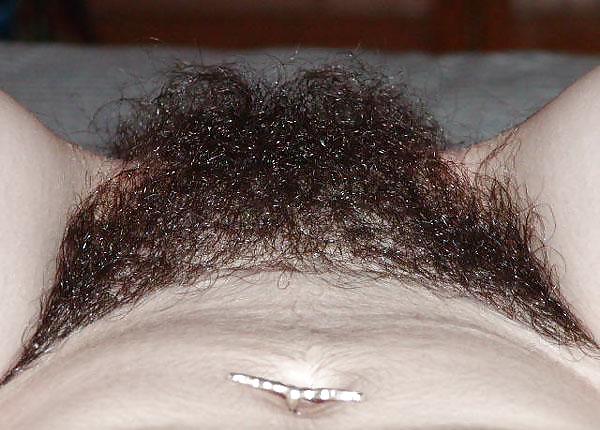 Hairy Triangle Teen Hairy Pussy Porn Pics
