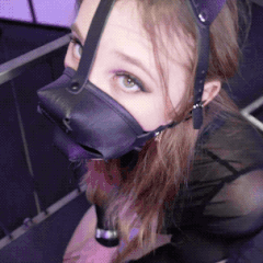 Verslaafd en gemobiliseerd huisdier