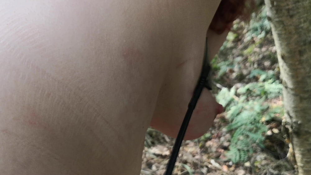 Naked Tits and Ass whipping in woods - 44 Pics 