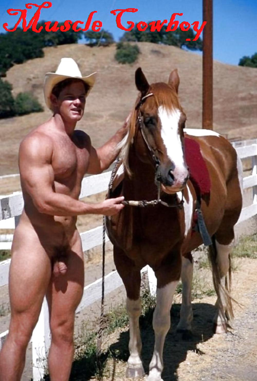 Horse Hung Videos