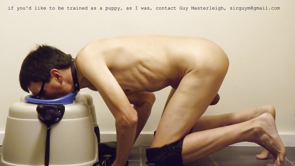 Porn image puppy tigger's training photos