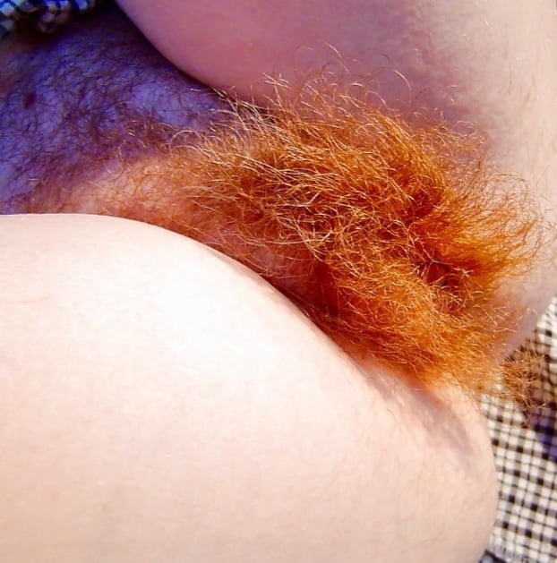 Orange Pubic Hair with Freckles #6 - 108 Photos 