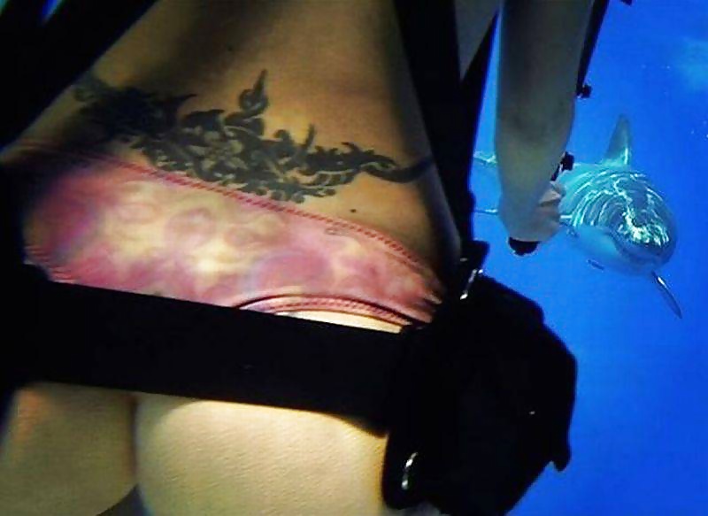 Porn image momentos picantes 11