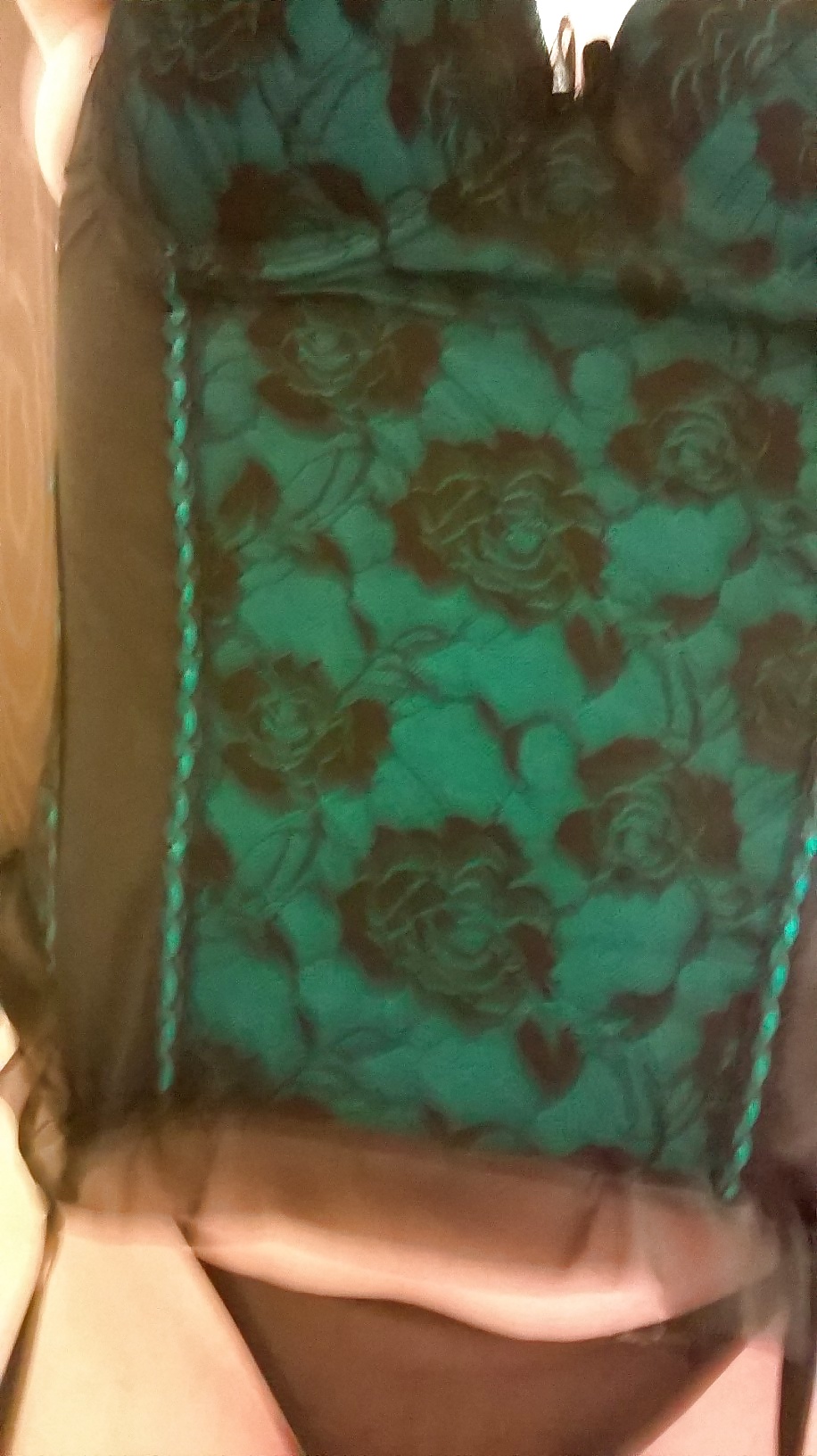 Porn image Pet modeling new outfit for Master