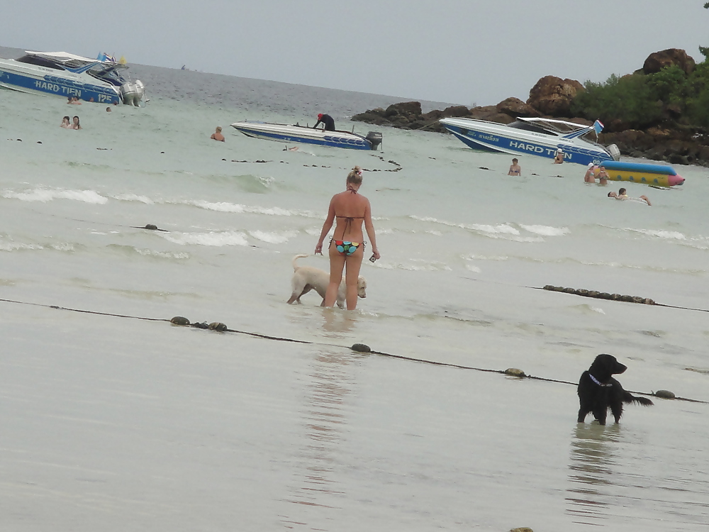 Porn image On the beach