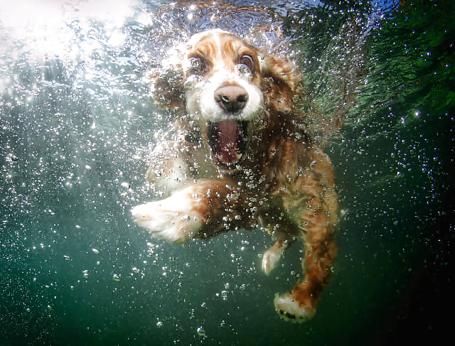 Porn image Girls and Diverses 64