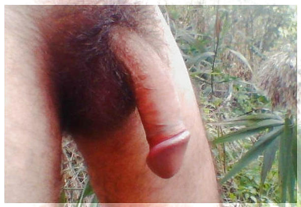 Porn image Simply Hairy