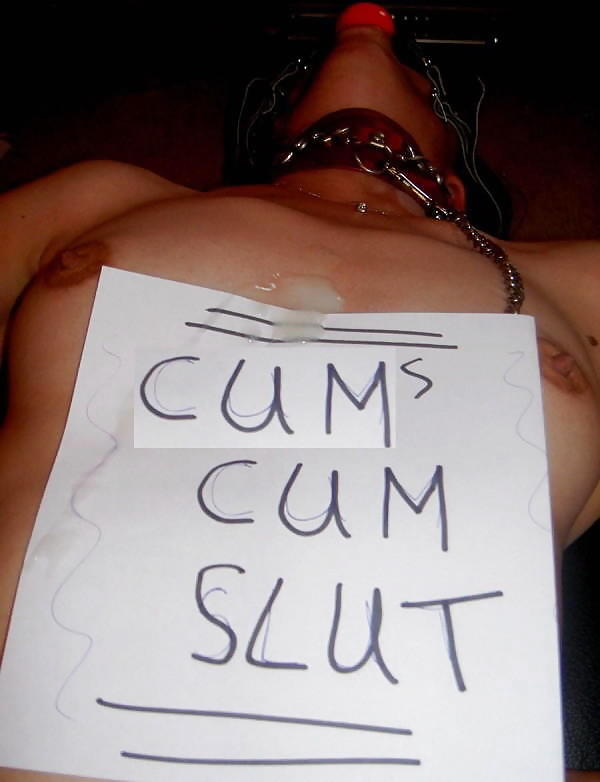 Porn image Naughty SLUTS with Signs