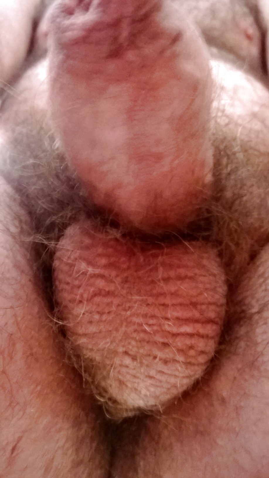Porn image The cocksucker point of view (close up pics)