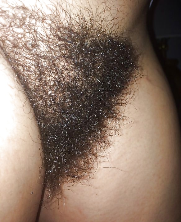 Porn image Hairy pussy amateurs