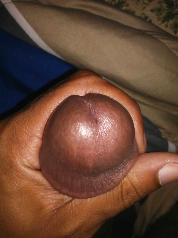Porn image random cock pics