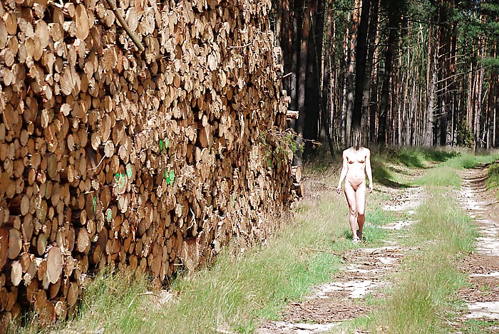 Porn image geiler wald spaziergang horny walk through the forest