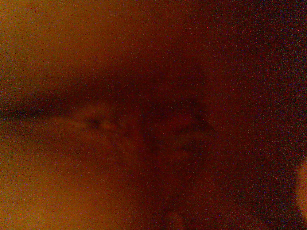 Porn image pussy my wife