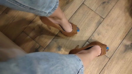 iris flores free photos         