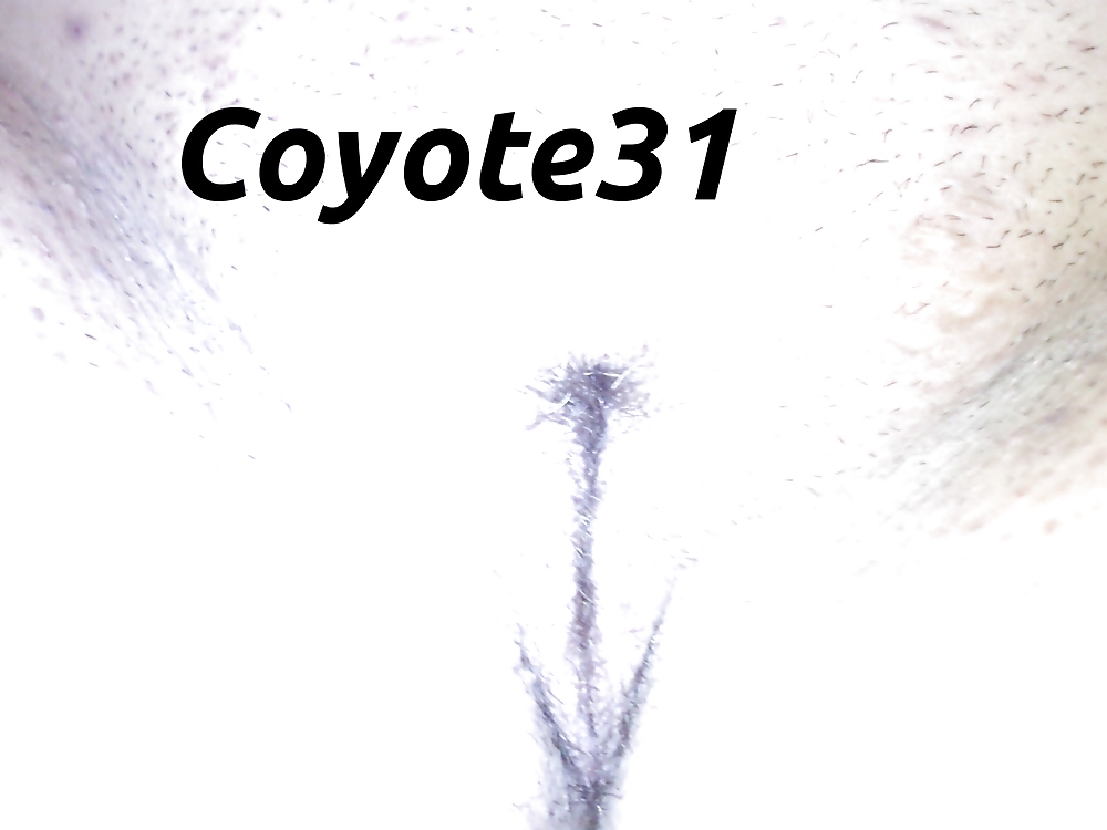 Porn image Jeune fille de Castres pour Coyote31.