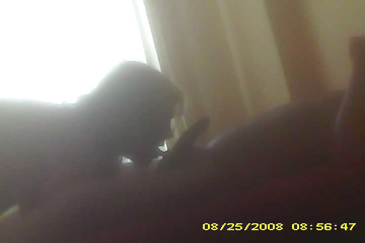 Porn image me and escort