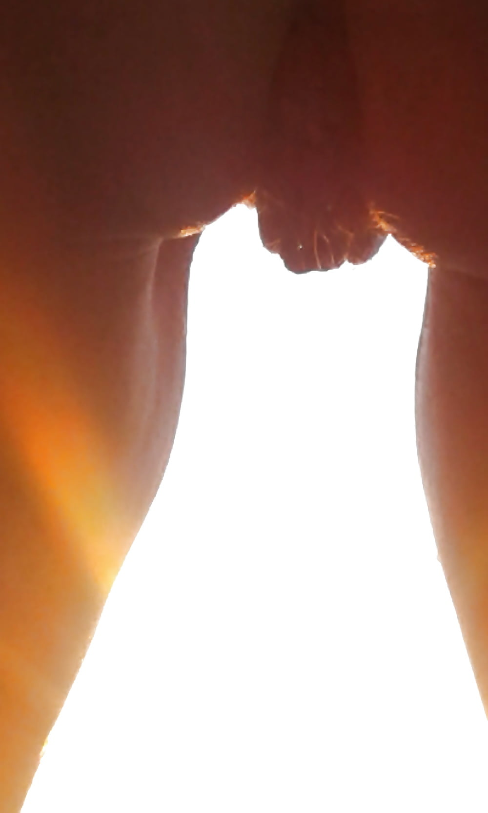 Porn image in porn we trust