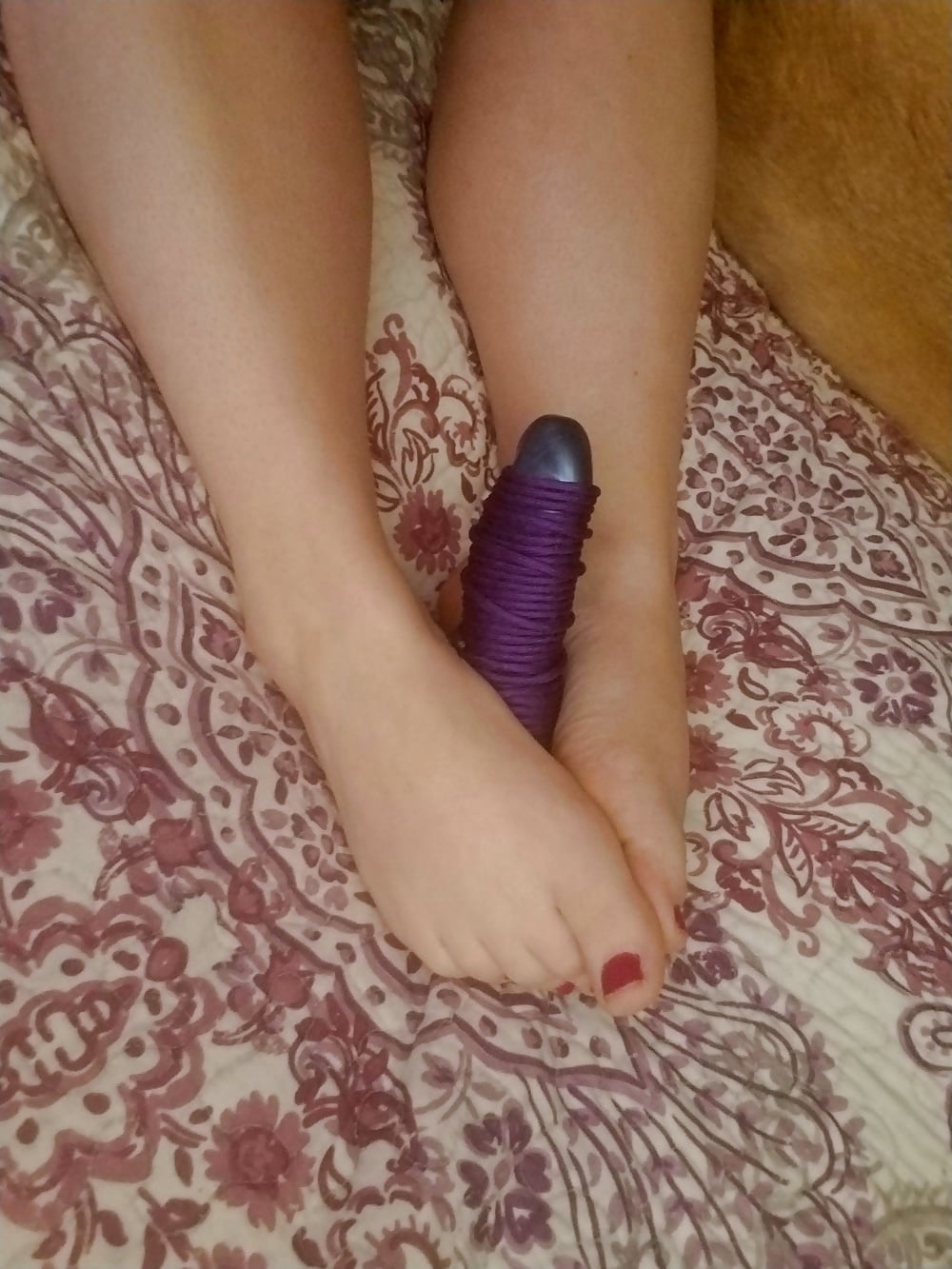 housewife sexy legs feet