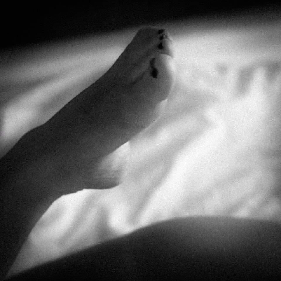 USKGLASS XLIV: Teen Blowjobs Feet Asses and Tits photo #324292462