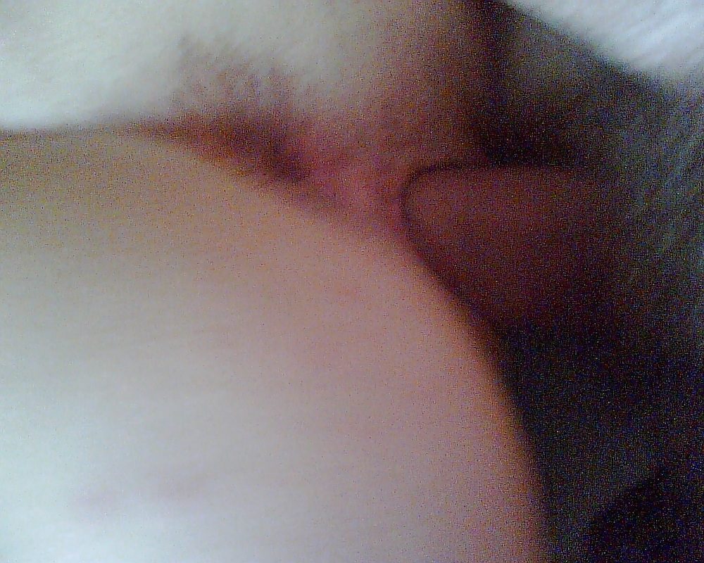 Porn image pussy of my girlfriend