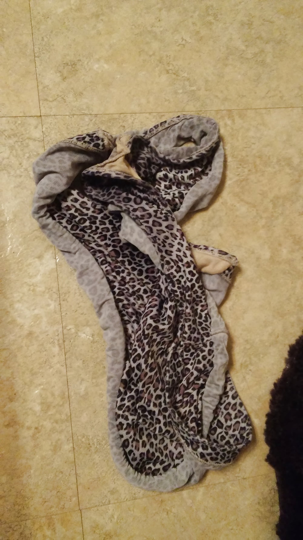 Porn image panty raid
