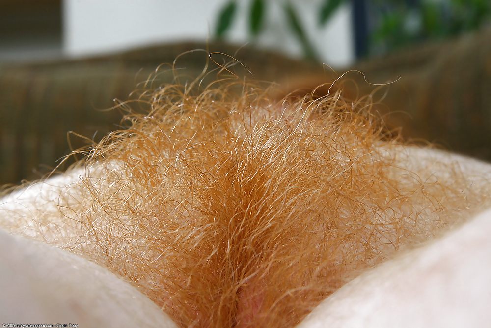 Porn image Amateur Girls with hairy pussies (5)