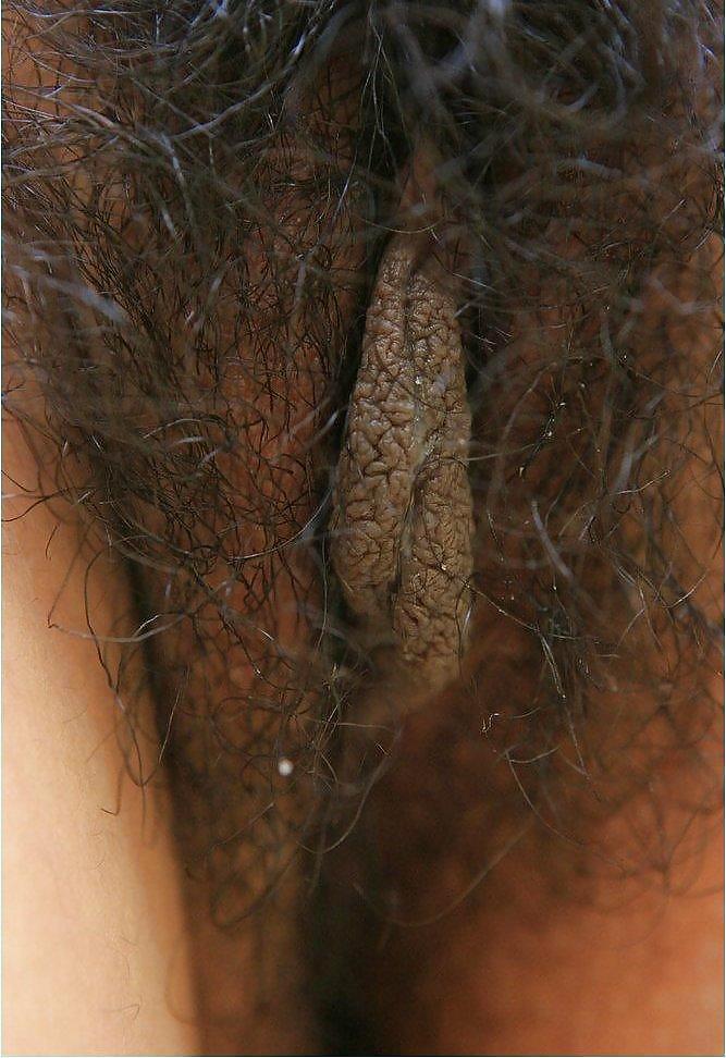 Porn image Hairy 16