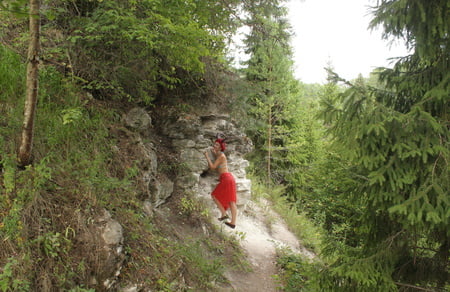 forest satyr on the rock         