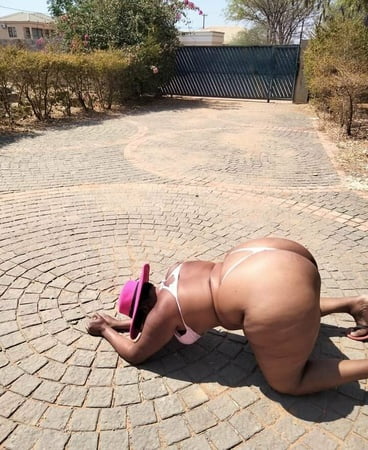 curvy wild horse free photos         