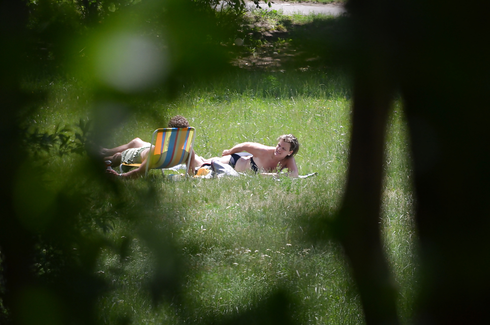 Porn image girl sunbathing in the park I