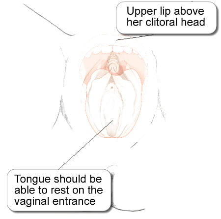 Instuctions for perfect pussy lick