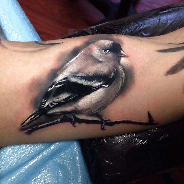 Porn image Girls and Diverses 24