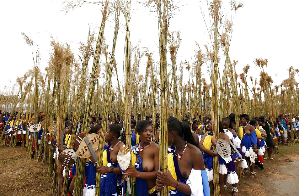 Yearly Reed Dance In Swaziland 15 Pics Xhamster