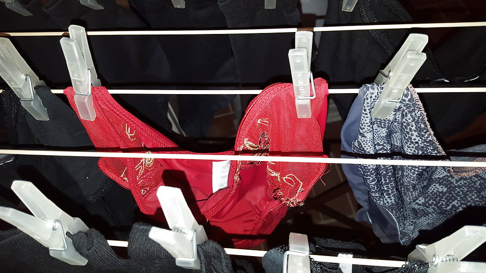 Porn image meine geile Sau