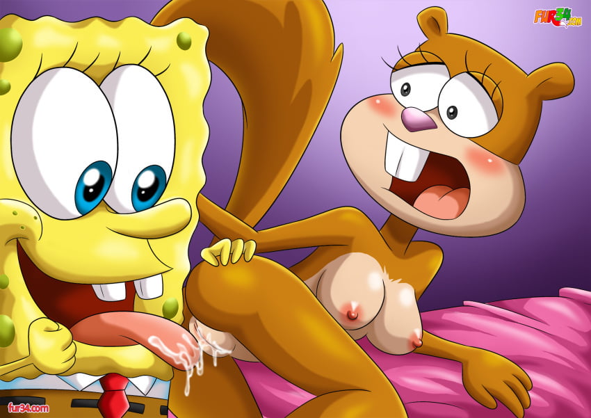 Spongebob Squarepants Strapon Porn - Bobsponge sandy porn Hot Models. 