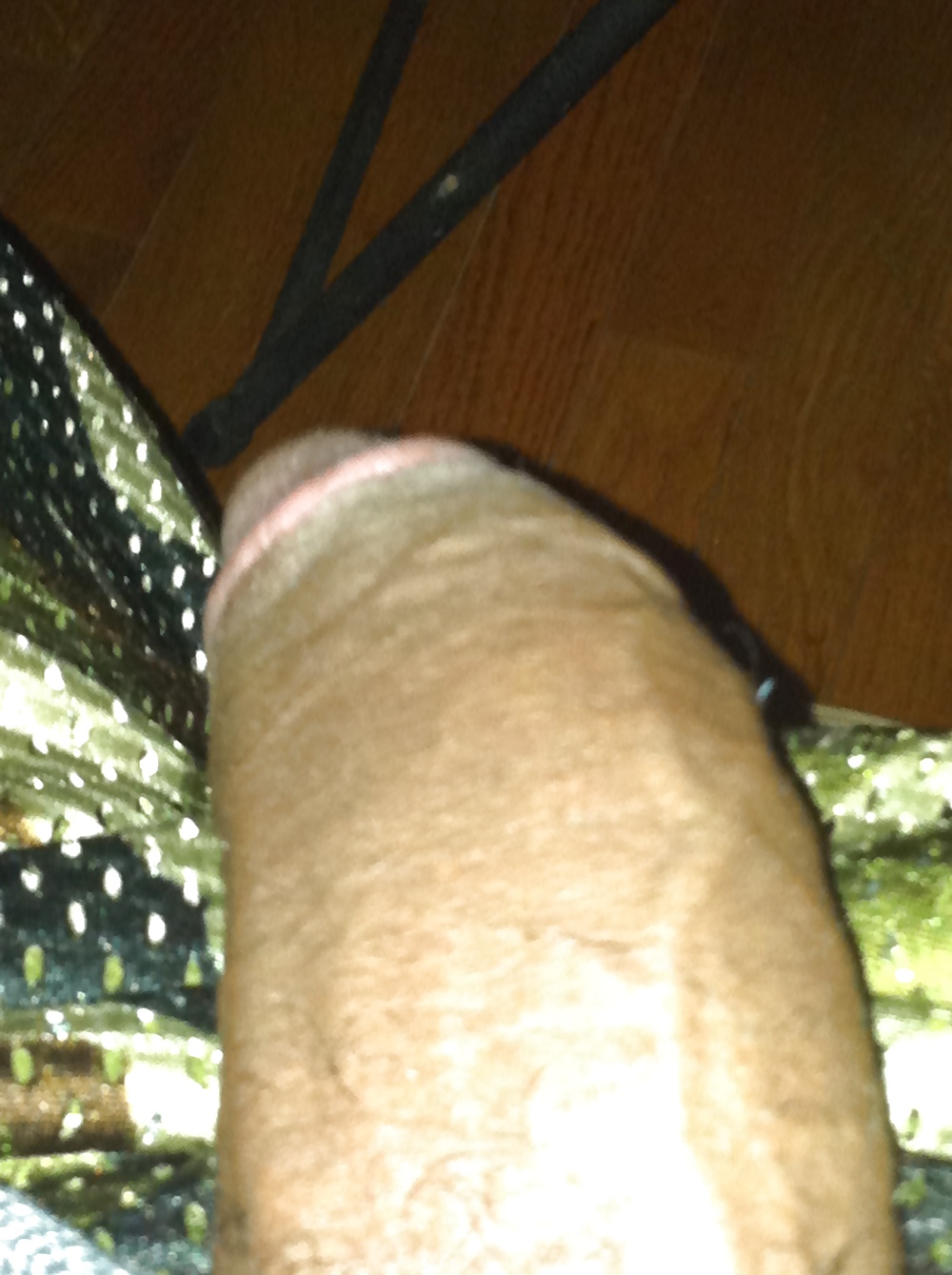 Porn image More of my Dick