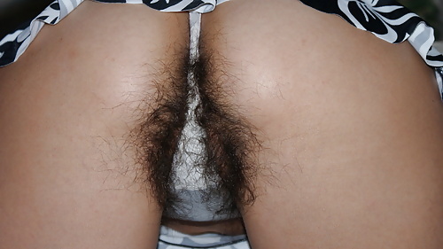 Porn image Hairy wife in panties