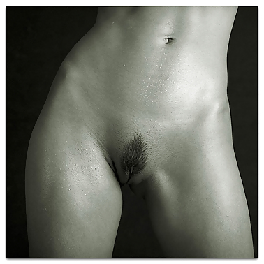Porn image Abs, Tummies & Torsos - Black and White Erotic