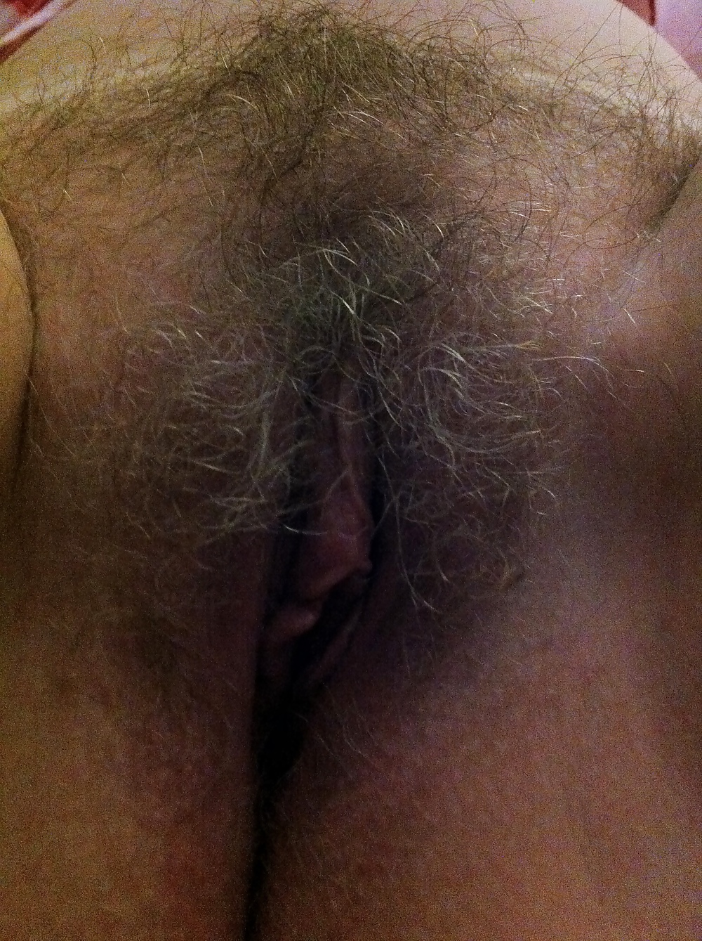 Porn image Hairy Wife
