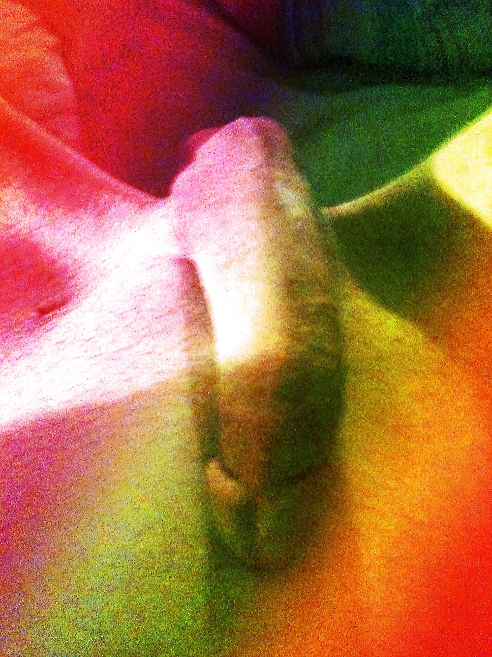 Porn image My rainbow cock
