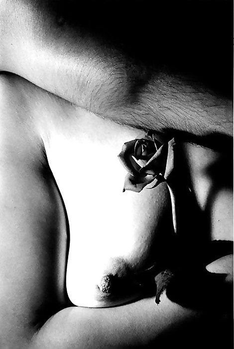 Porn image Erotic Art of Roses - Session 2