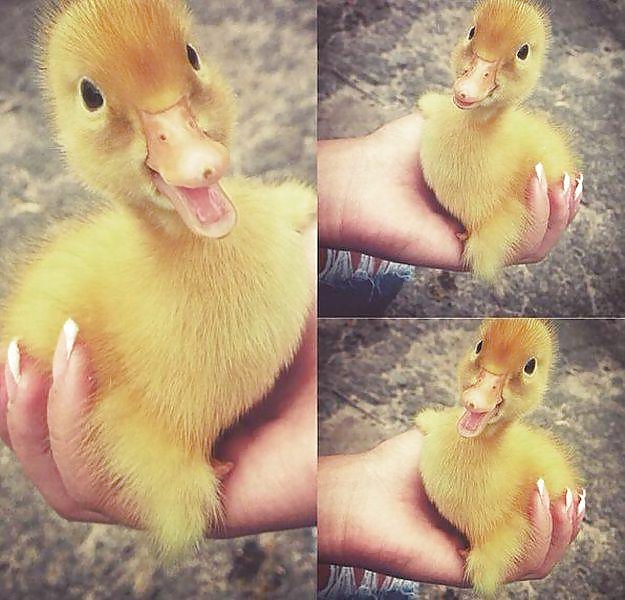 Porn image Girls and Diverses 64