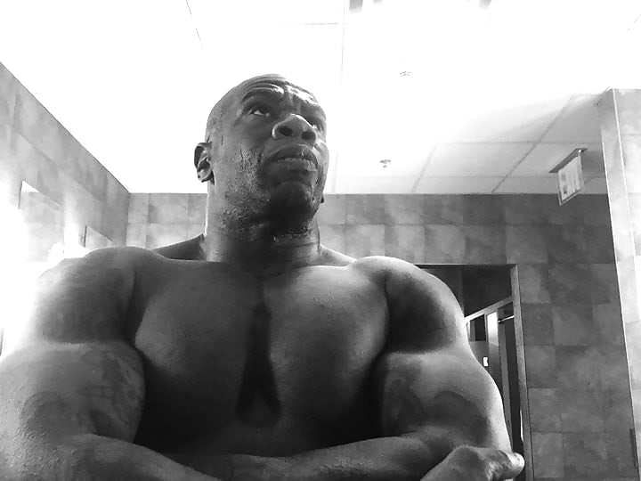 Porn image A Dick Collection