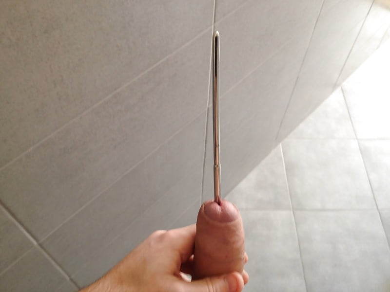 Porn image cock sounding 101