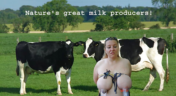 593px x 322px - See and Save As fat cows with big udders bbws with udderly ridiculous boobs  porn pict - 4crot.com