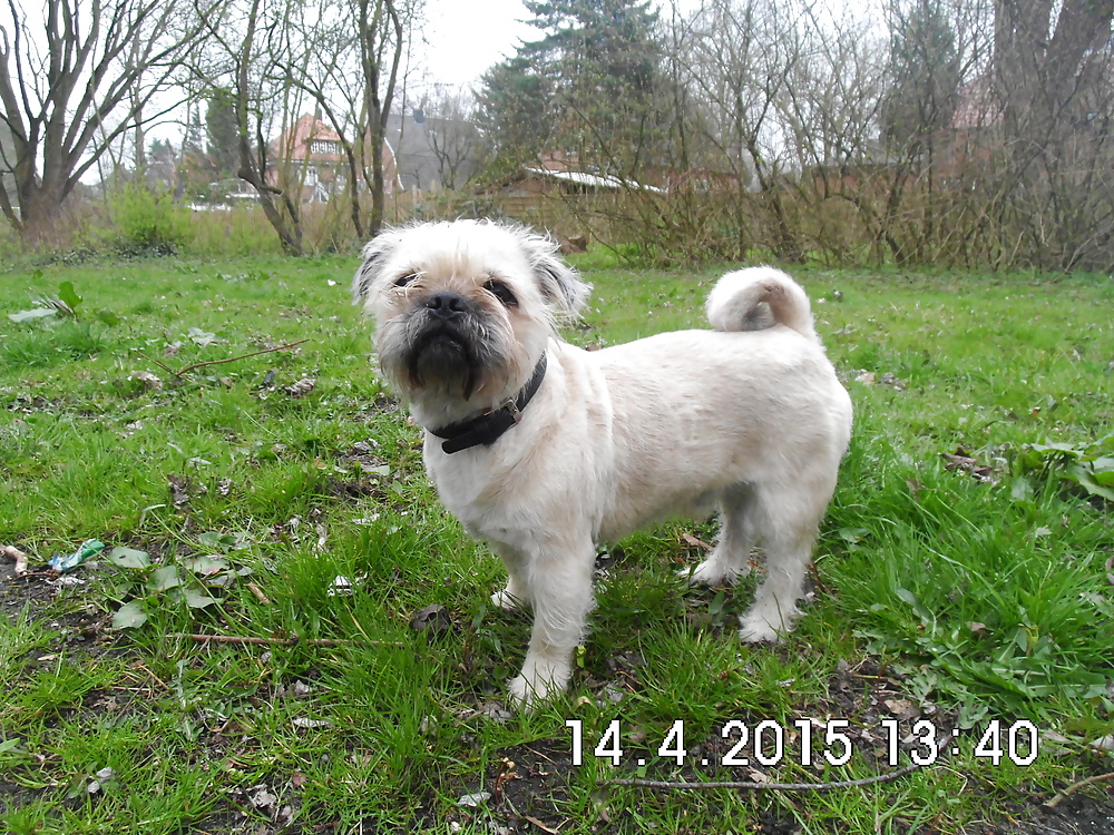 Porn image geiler Mix