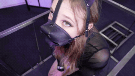 Hooked and Imobilized Pet