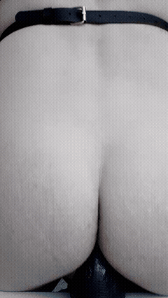 Cock and Harness #9
